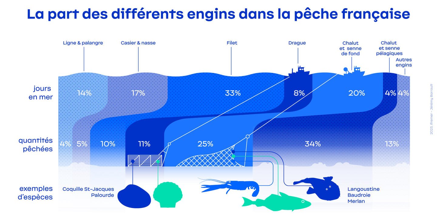 Infographie : En 2021, la pêche avec des arts traînants de fond a représenté 36 % du volume et 47 % de la valeur totale de la production française.