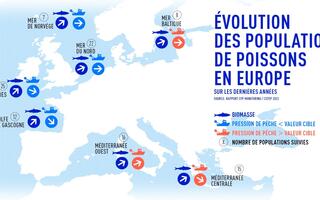 Évolution des populations de poissons en Europe sur les dernières années