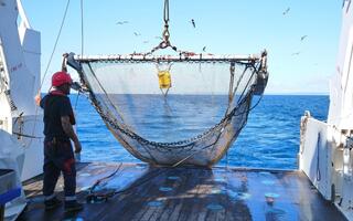 Mise à l'eau d'un chalut à perche dans le golfe du Lion depuis le navire océanographique L'Europe, lors de la campagne scientifique NOURMED 2019