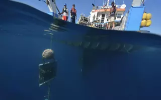 Scientifiques qui vérifient la présence de substances chimiques sur les moules