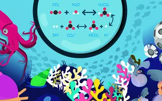 Acidification des océans. Quels effets ? Quelles solutions ?