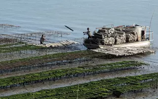 Vue sur un site ostréicole en Charente-Maritime non loin de la Tremblade