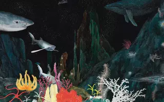 Illustration de Julie Terrazzoni montrant des montagnes sous m