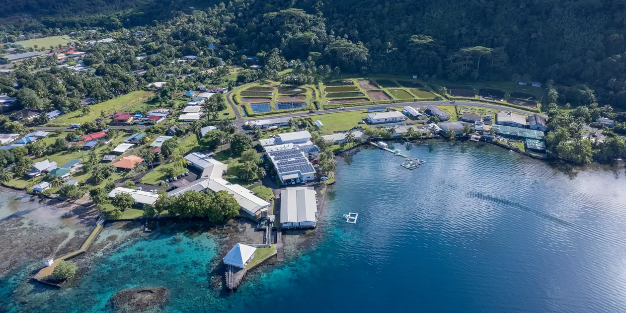 Vue aérienne de la plateforme située en bord de mer