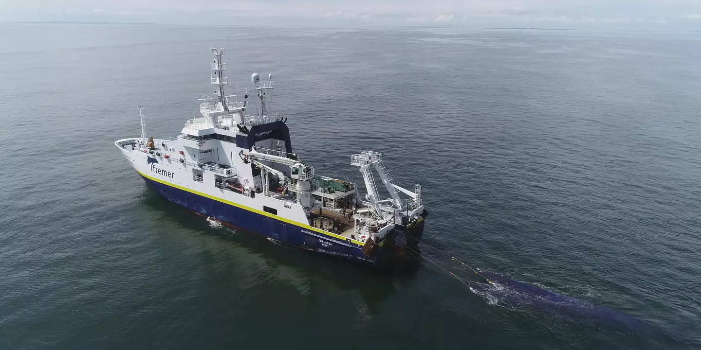 Opération de chalutage depuis le Thalassa