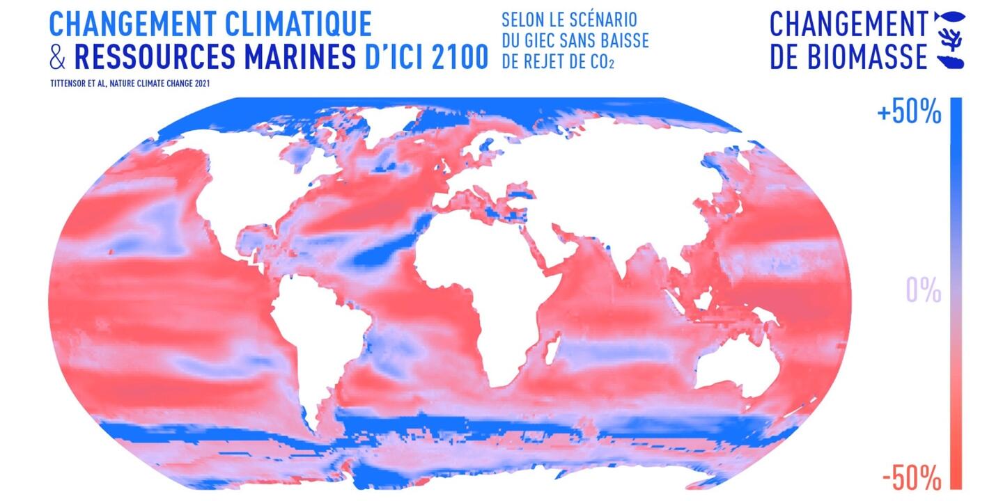 Changement climatique et ressources marines d'ici 2100 - Selon le scénario du GIEC sans baisse de rejet de CO2