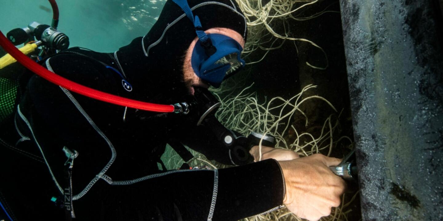 Plongeur devant un herbier artificiel ou roselière