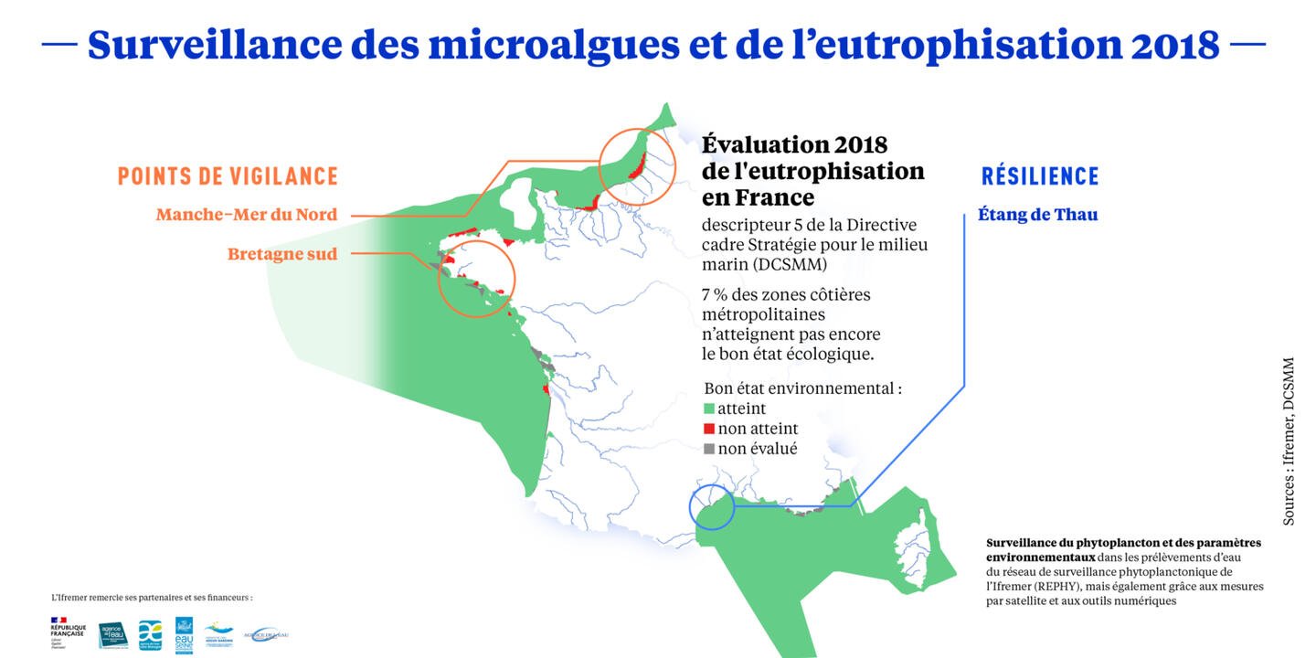 Carte Surveillance microalgues et eutrophisation