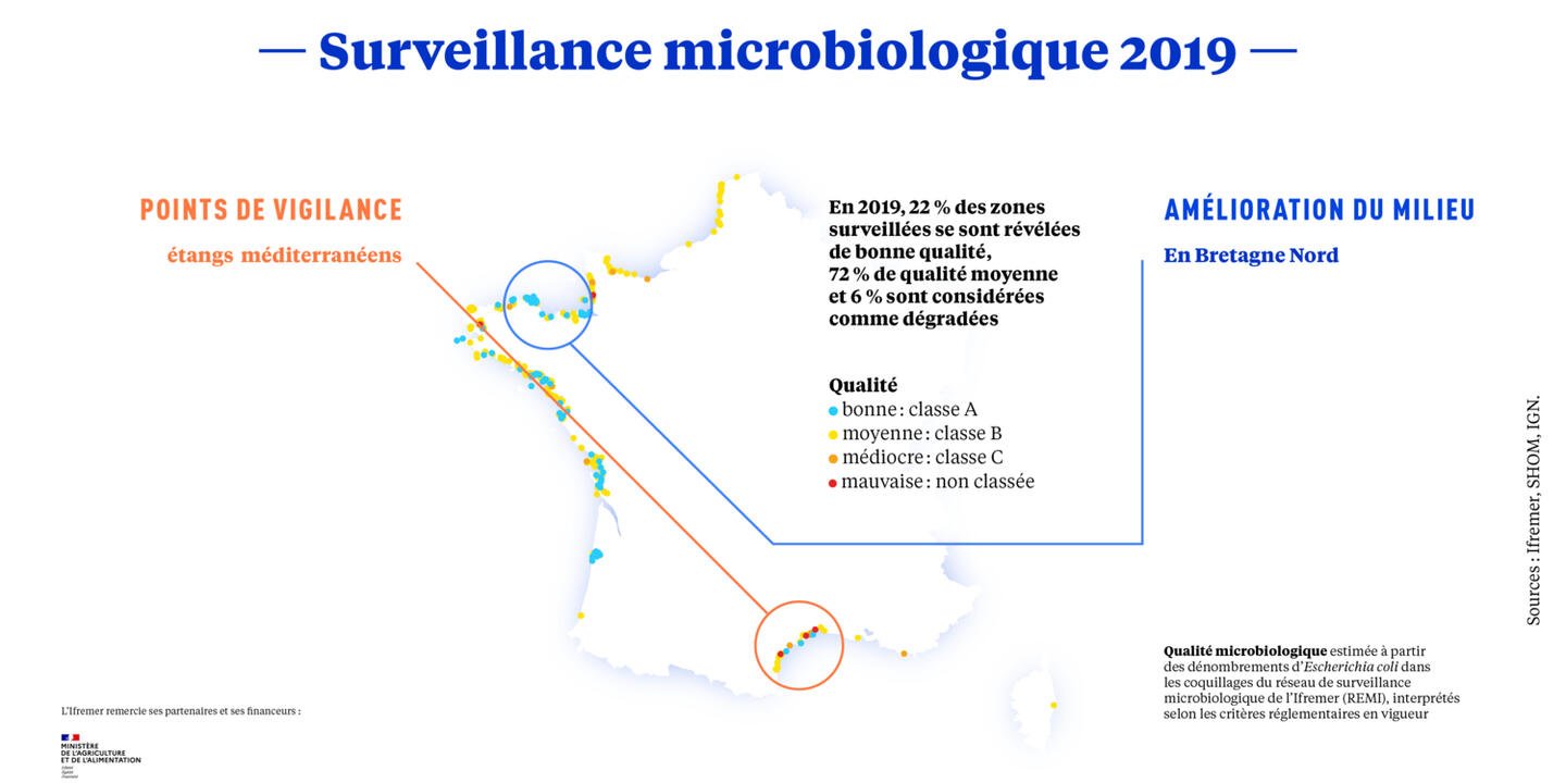 Carte Surveillance microbiologique