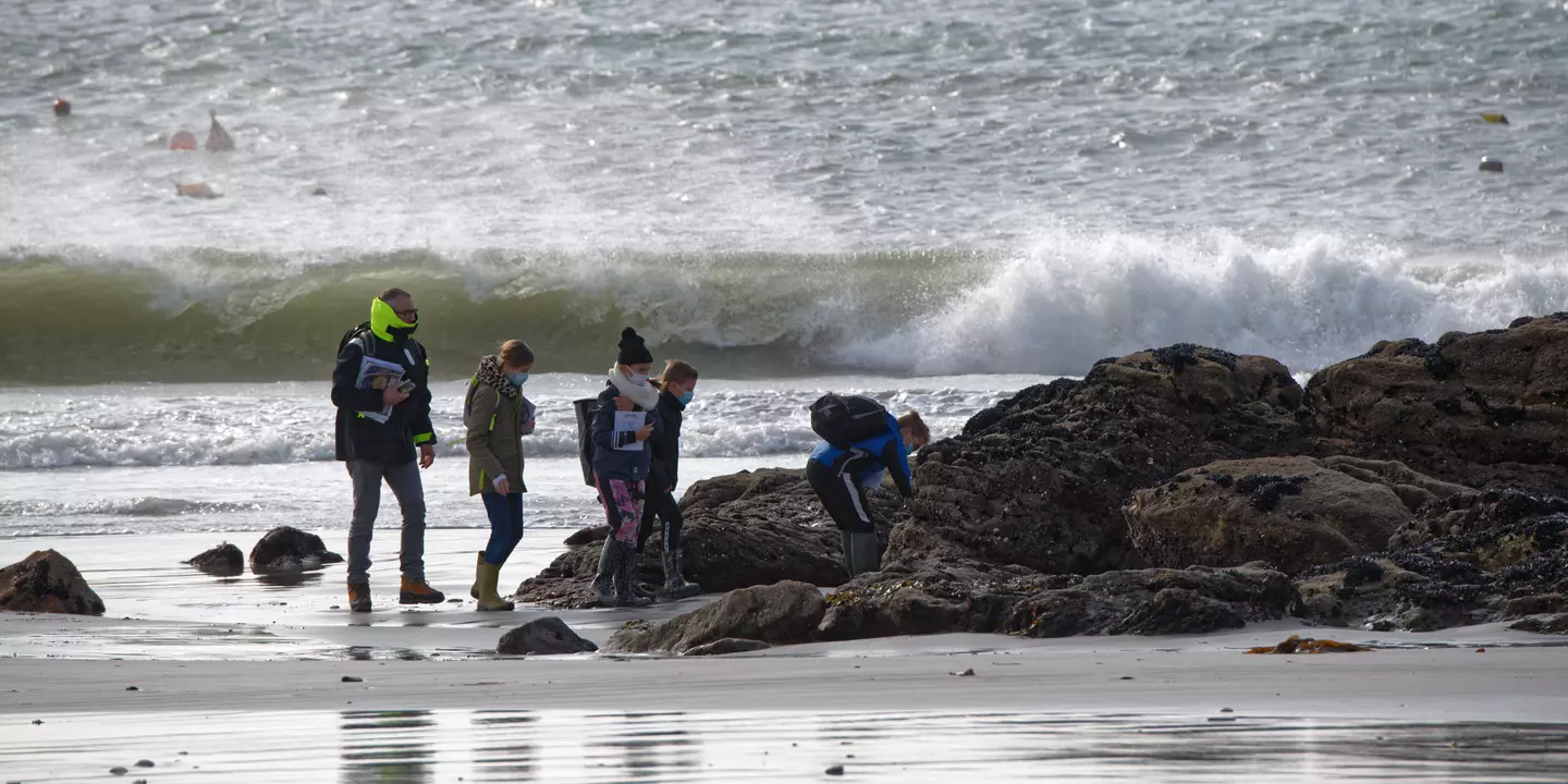 Élèves sur la plage aux abords des rochers.