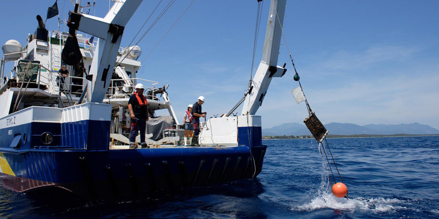 Campagne SuchiMed : après avoir passé deux mois et demi en mer, les 250 poches de moules disséminées dans les eaux côtières de Méditerranée sont récupérées à bord