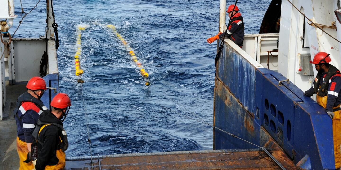 A bord de le Thalassa, navire océanographique de l'Ifremer, des échantillons sont récoltés, pesés, mesurés et analysés pour évaluer les populations de poissons
