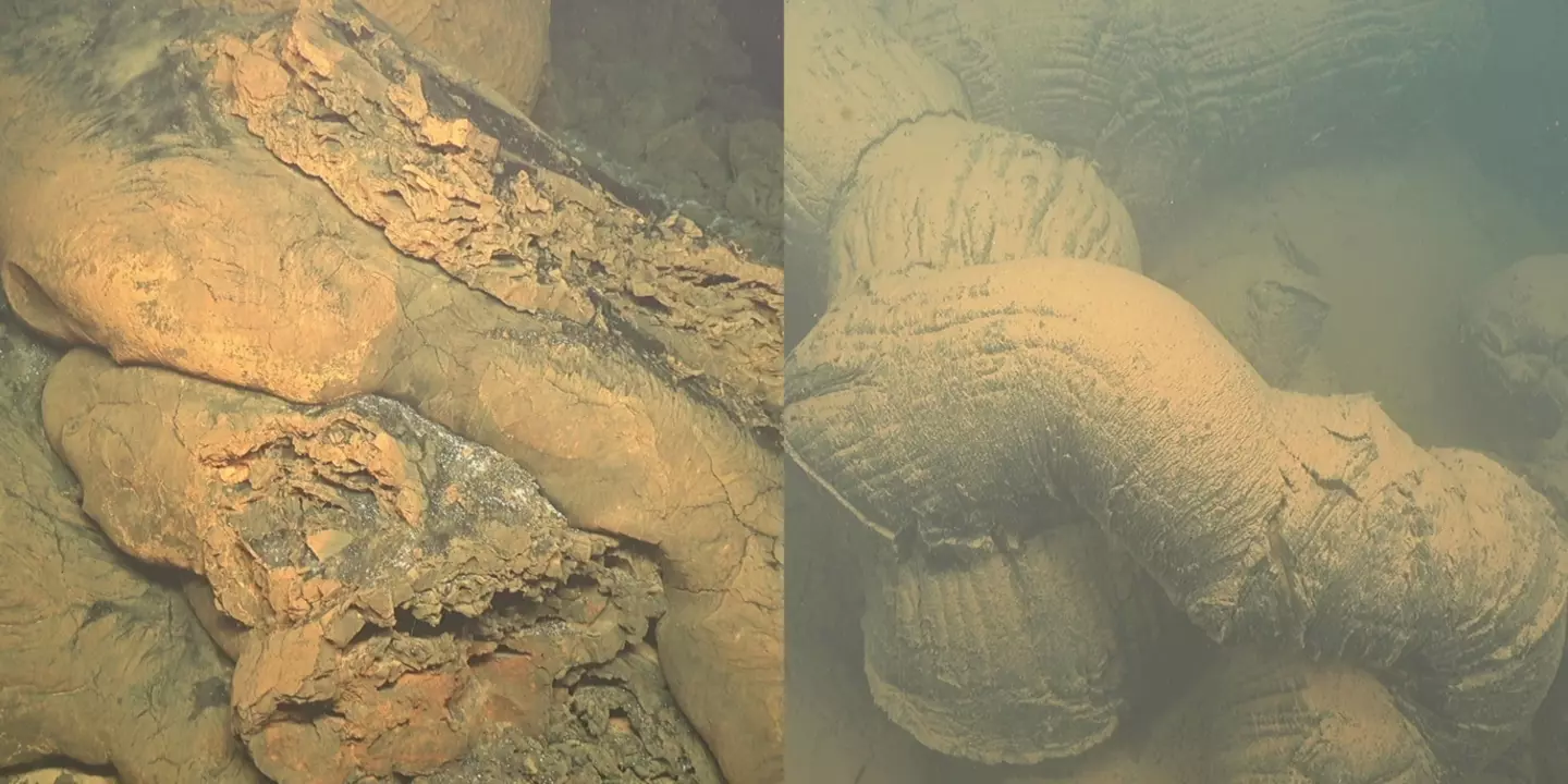 Enchevêtrement de tubes de laves observés lors de la première plongée du Victor 6000
