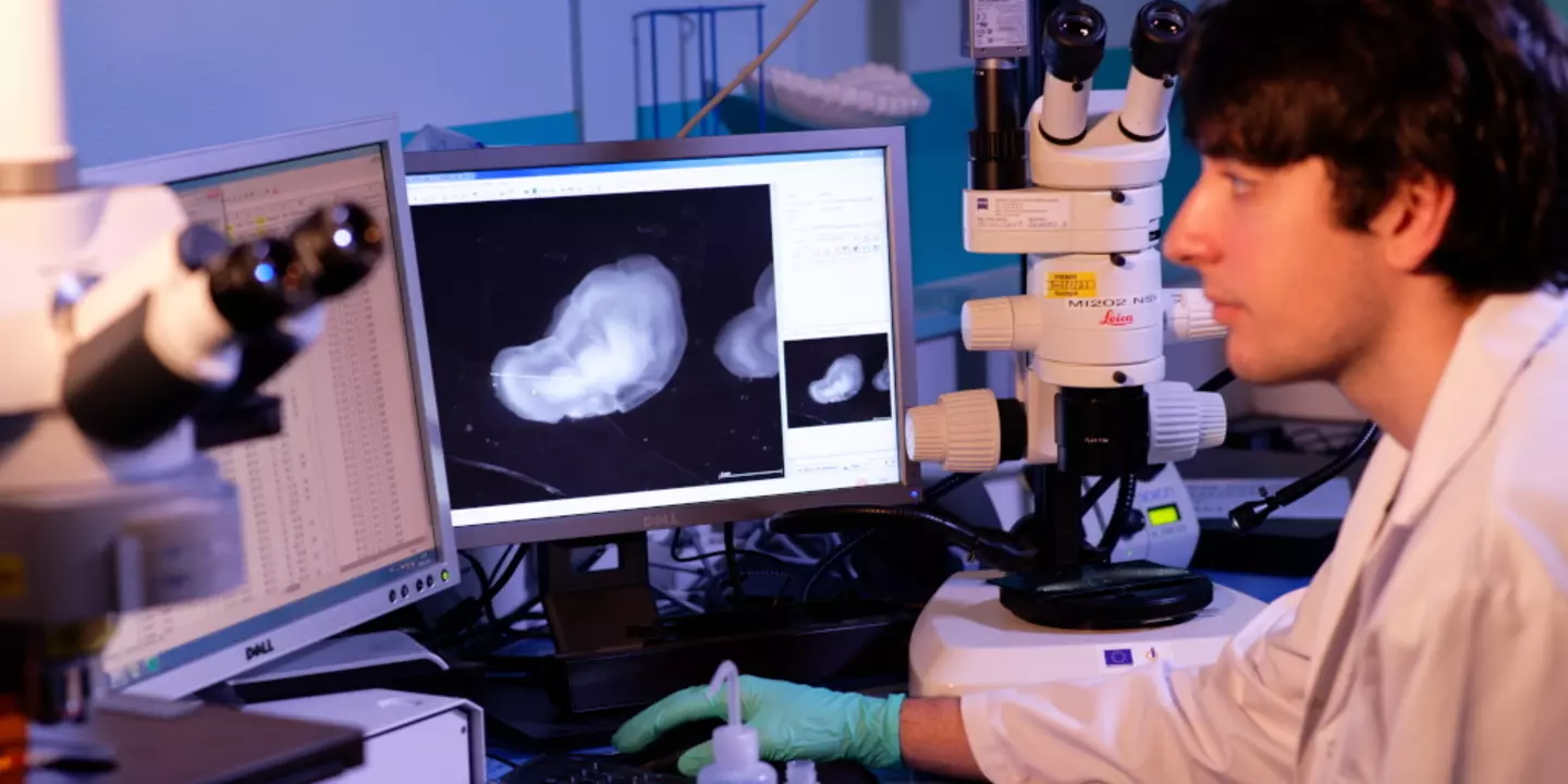 Le laboratoire de l'Ifremer à Boulogne permet d’étudier la croissance des poissons grâce à leurs écailles notamment