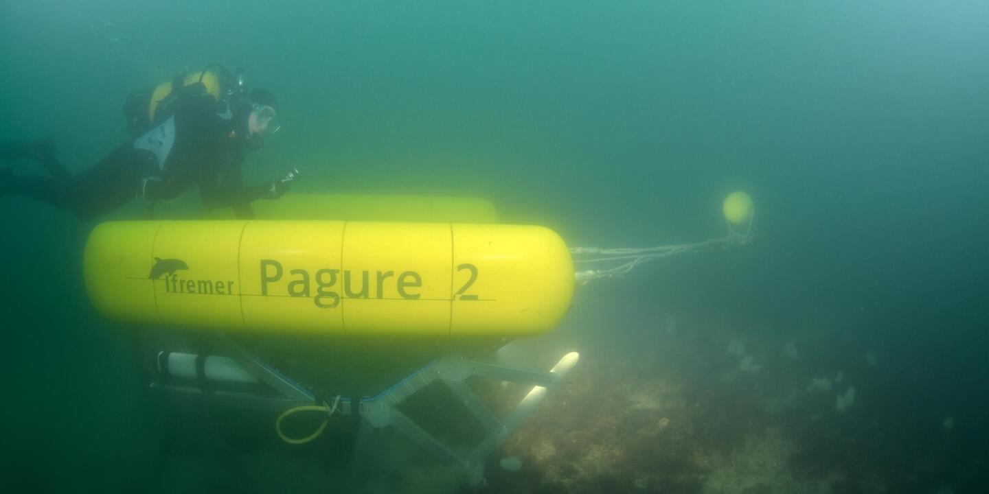 Développé à Boulogne sur Mer dans le cadre des projets européens Jerico-Next et Galion, le Pagure 2 est un engin tracté, destiné à étudier les habitats benthiques par imagerie vidéo et photo