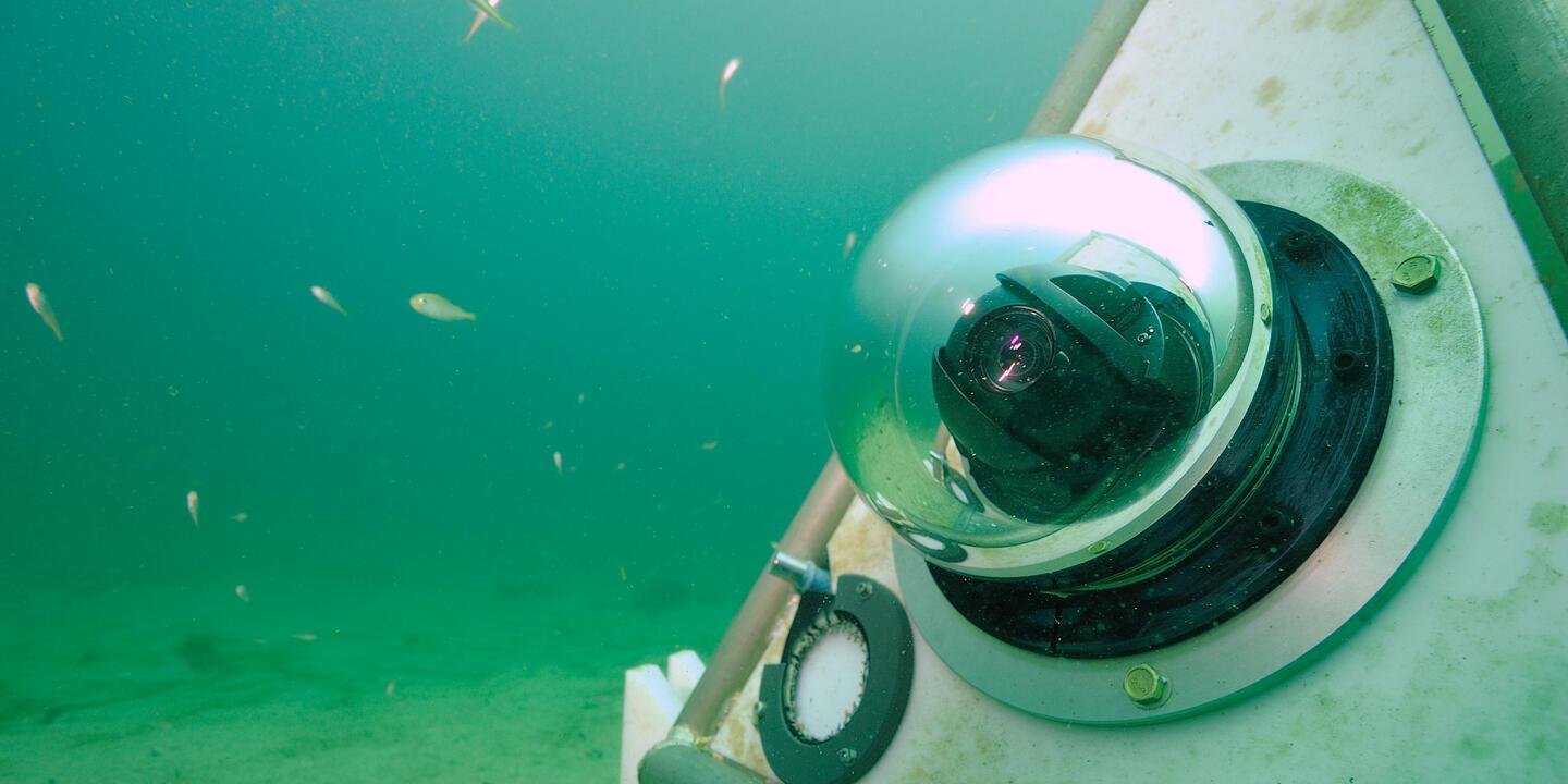 Élément placé au fond de la mer composé d'une caméra pour la surveillance.