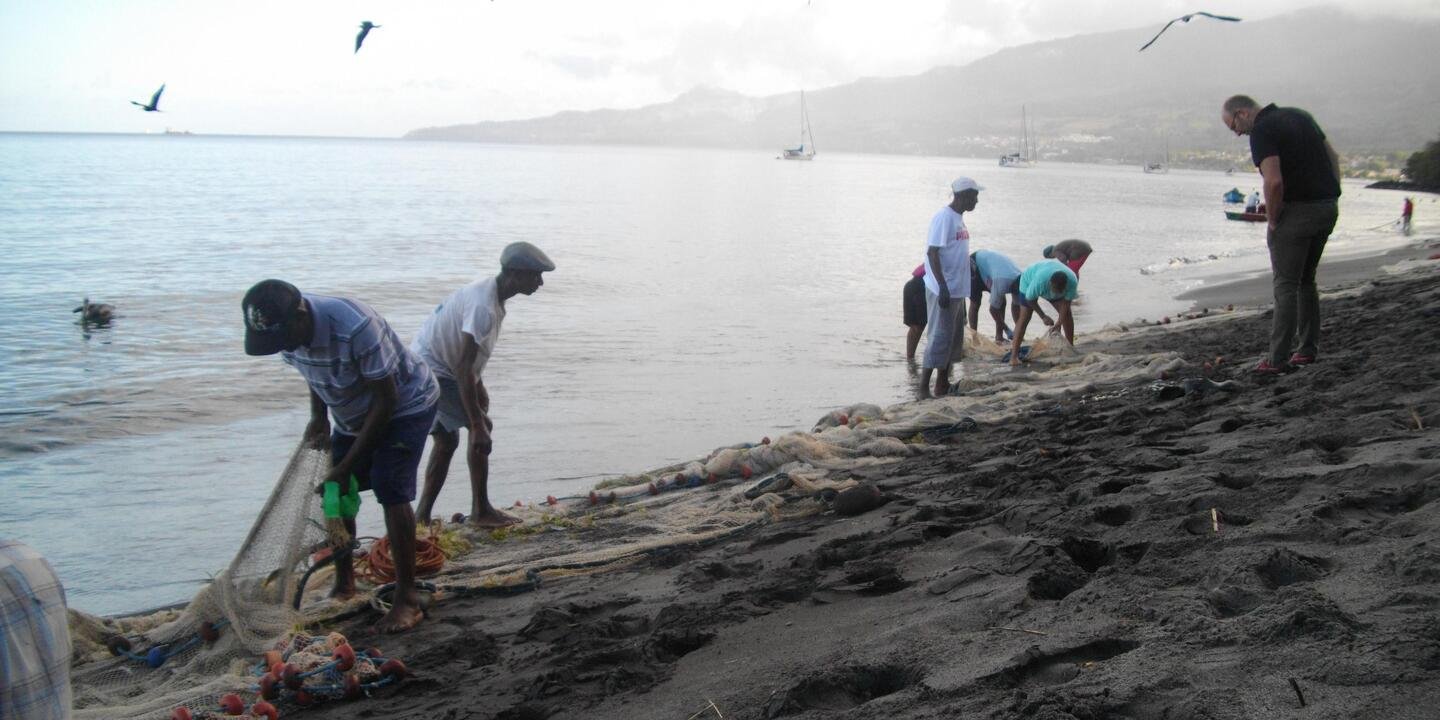 Observation d'une marée au débarquement à la senne de plage sur la plage du Carbet en Martinique
