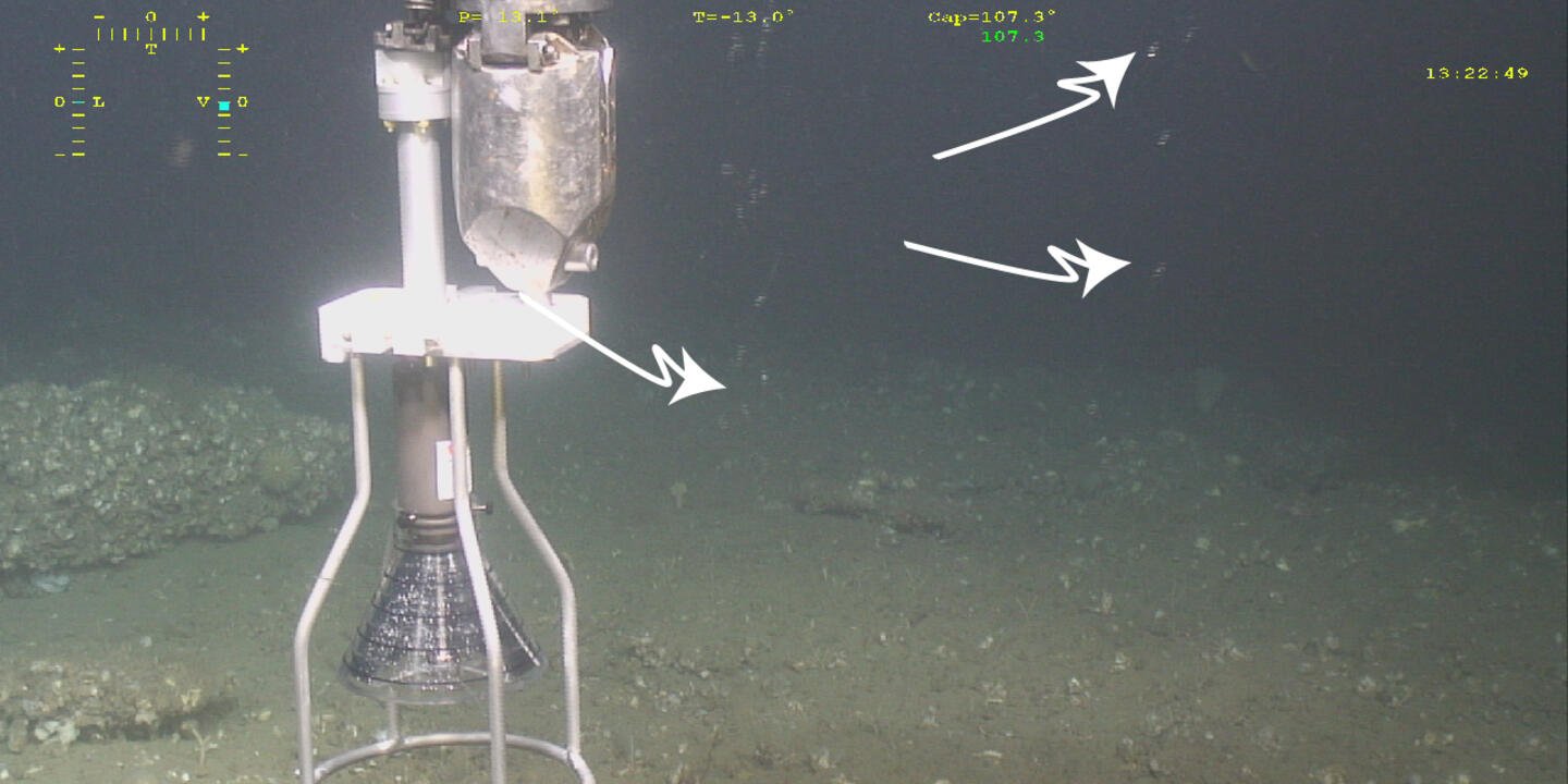 Les bulles de gaz observées ici par le robot sous-marin Victor 6000 ont été échantillonnées et analysées indiquant qu’il s’agissait de méthane microbien