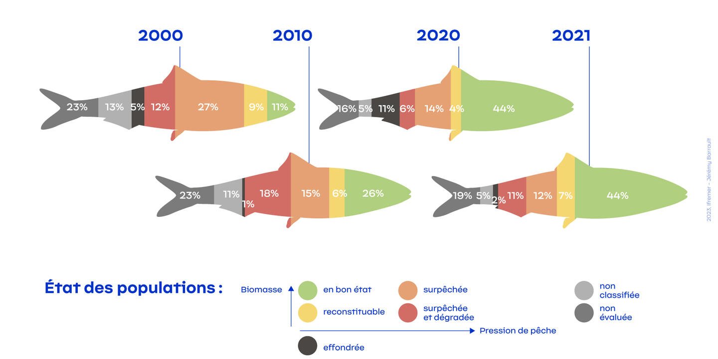 Infographie représentant l'évolution de l’état des populations de poissons exploitées en France hexagonale entre 2000 et 2021