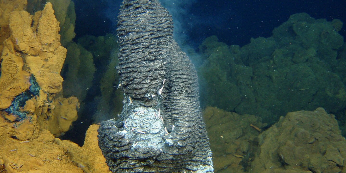 Cheminée hydrothermale en activité, colonisée par des essaims de crevettes Rimicaris exoculata sur le site Rainbow (dorsale médio-atlantique)
