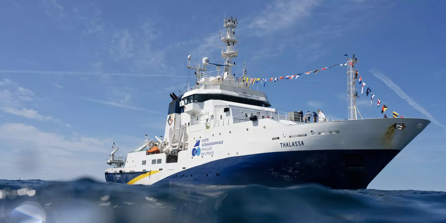 Thalassa