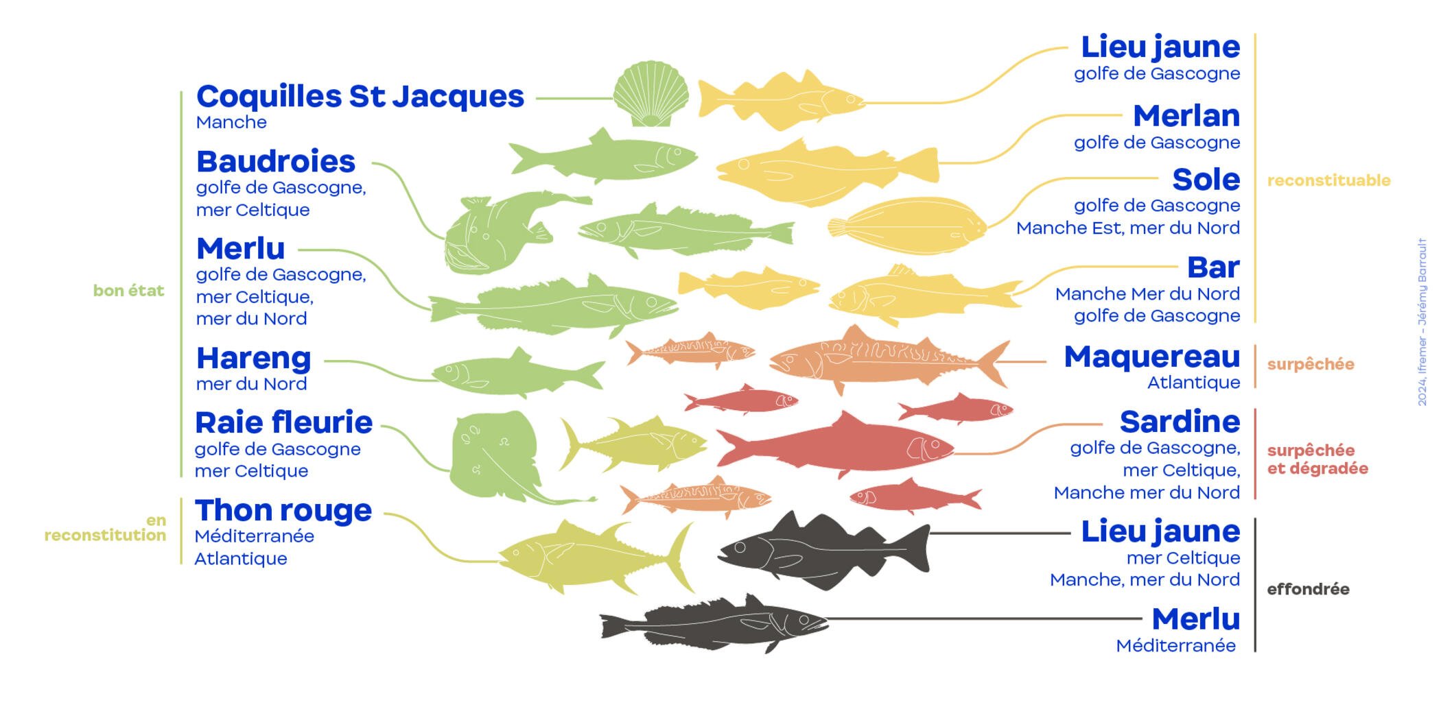 Bilan 2023 en France hexagonale : 56 % des volumes de poissons débarqués en 2022 proviennent de populations exploitées durablement. Une très légère progression.