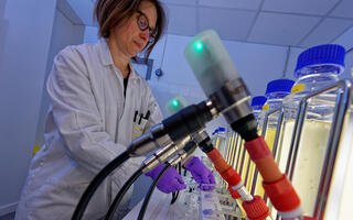 Les chercheurs de l'Ifremer cultivent les microalgues sur un banc de phénotypage. Ce dispositif de physiologie expérimentale est développé par le laboratoire de physiologie et biotechnologie des algues, basé sur le centre Ifremer Atlantique à Nantes.