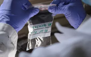 En plus de traquer les contaminants chimiques potentiellement présents dans les sédiments, les scientifiques regardent aussi quels organismes y vivent grâce aux traces d’ADN qu’ils y laissent