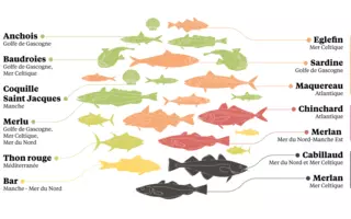 Exemples de populations classées selon leur état écologique 2019