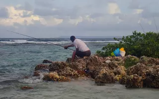 Un pêcheur pratique la pêche récréative sur la plage de la Caravelle (Sainte-Anne) en Guadeloupe.