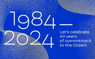 Happy New Year 2024!