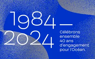Carte de vœux 2024