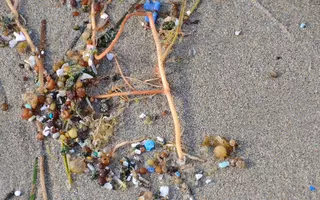 Microplastiques sur la plage de Famara aux Canaries