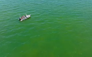 Phénomène d'eau colorée verte en baie de Vilaine - Prélèvements et échantillonnage d'eau depuis le zodiac