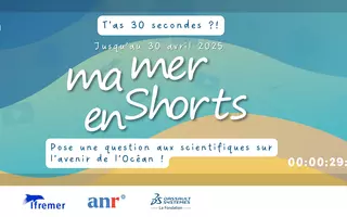 Visuel Ma Mer En Shorts