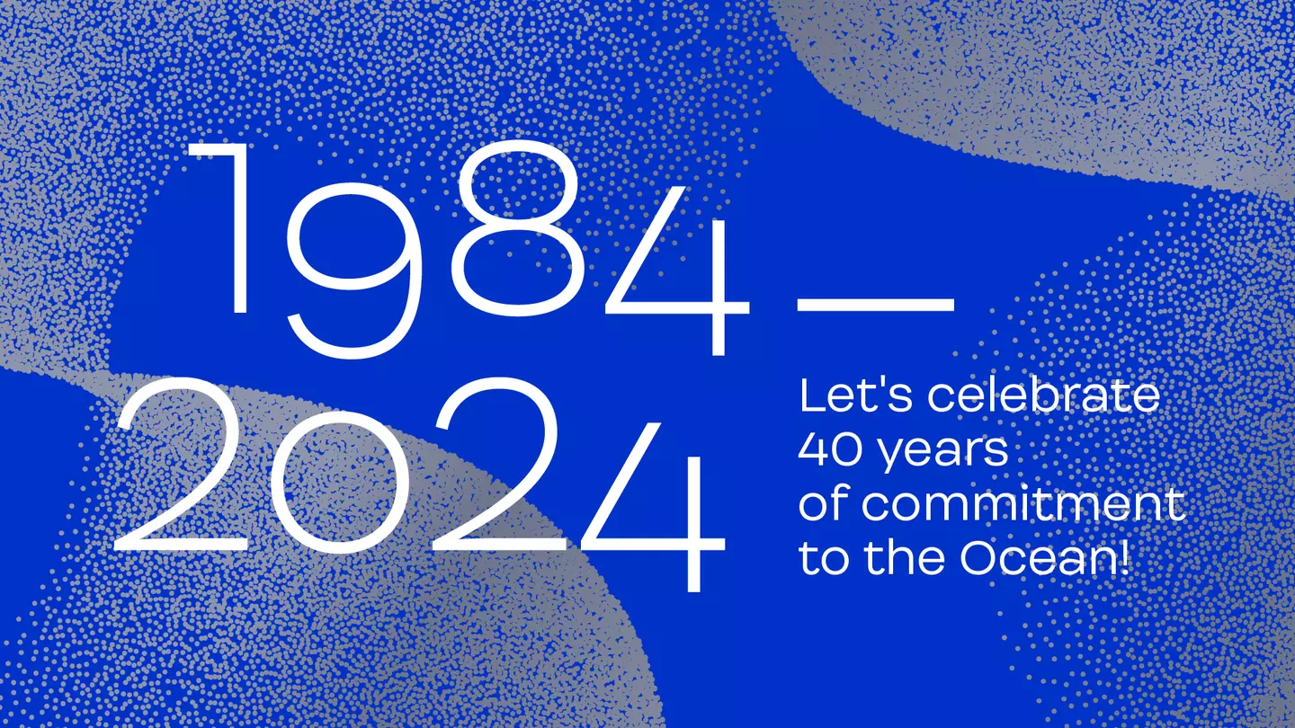 Happy New Year 2024!