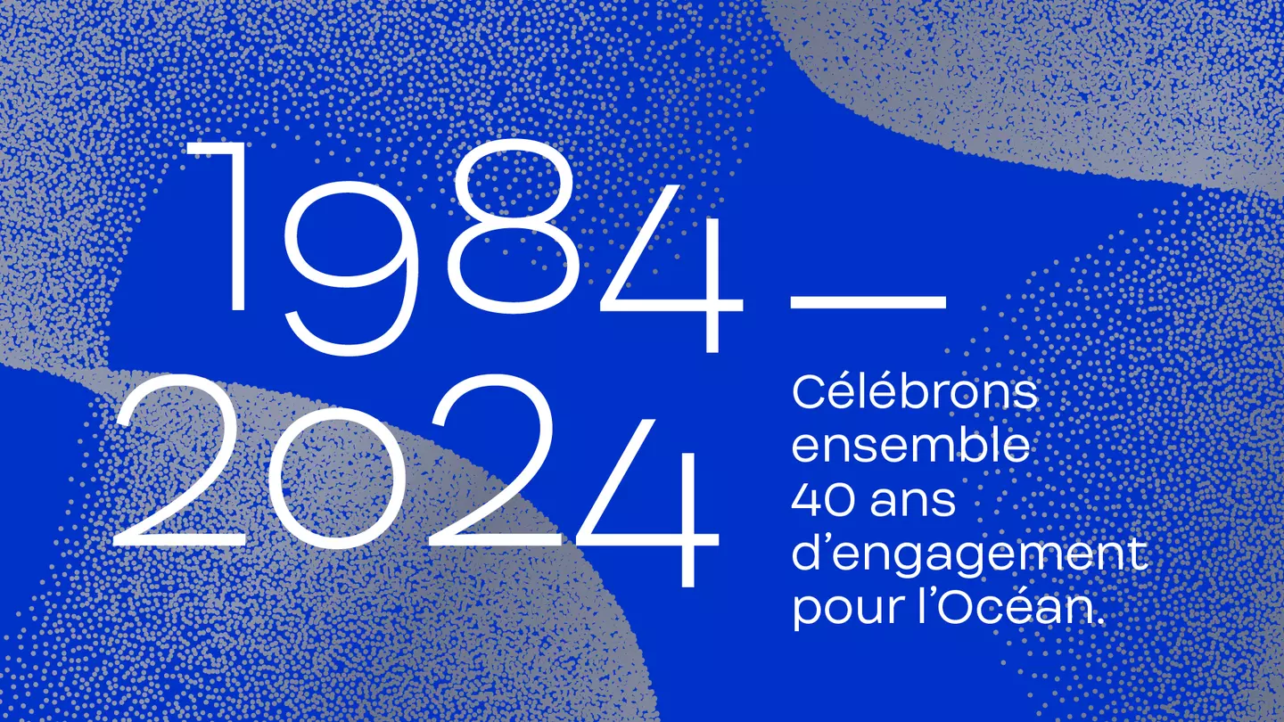 Carte de vœux 2024