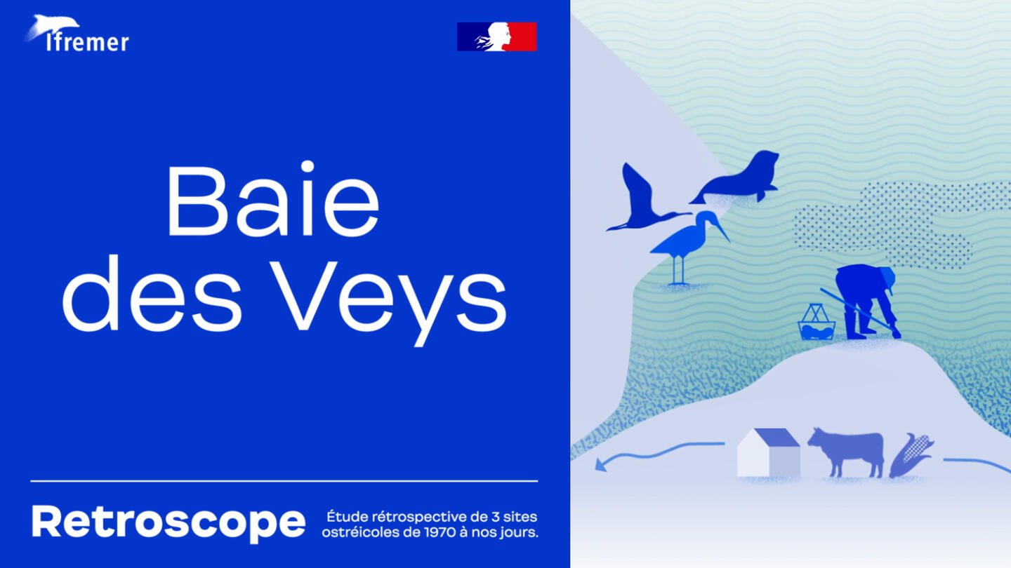Baie des Veys 🔙 Retroscope