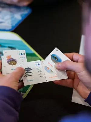Un jeune homme joue une partie du jeu "mon lopin de mer". Il tient dans ses mains des cartes du jeu.