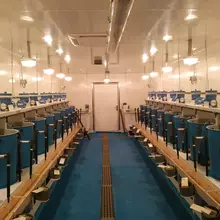 Rangées de bidons cylindriques bleu