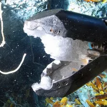 Hydrate de gaz dans la pince du ROV Victor 6000