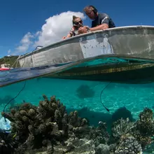 Relevé des signatures sonores d’un récif corallien, lagon de Moorea.