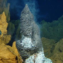Cheminée hydrothermale en activité, colonisée par des essaims de crevettes Rimicaris exoculata sur le site Rainbow (dorsale médio-atlantique)