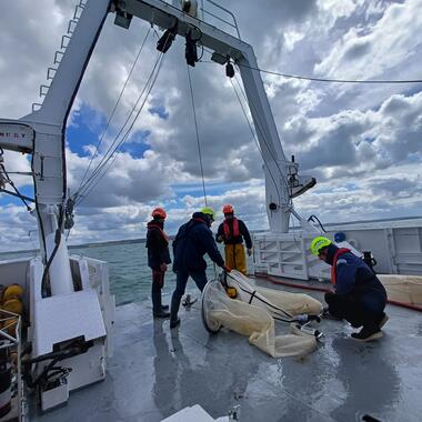À bord du Côtes de la Manche, les scientifiques ont pu effectuer à la fois des mesures en continu et des échantillonnages ponctuels de plancton dans toute la zone du Parc marin.