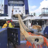 Mise en œuvre du chalut sur le navire océanographique Thalassa