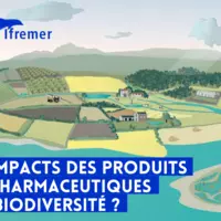 Impacts des produits phytopharmaceutiques sur la biodiversité et les services écosystémiques