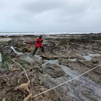 Le projet de recherche REEHAB (REEf HABitat) étudie le rôle écologique des récifs d'hermelles dans les écosystèmes marins et cherche à comprendre leur distribution sur les côtes françaises et européennes.