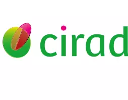 Logo Cirad