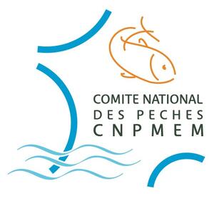 Logo CNPMEM