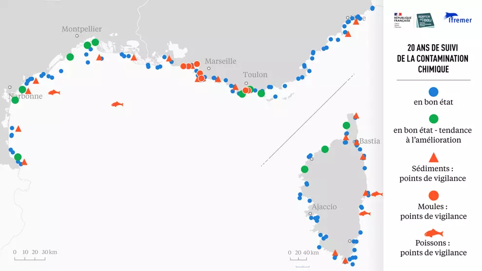 20 ans de suivi de la contamination chimique en Méditerranée